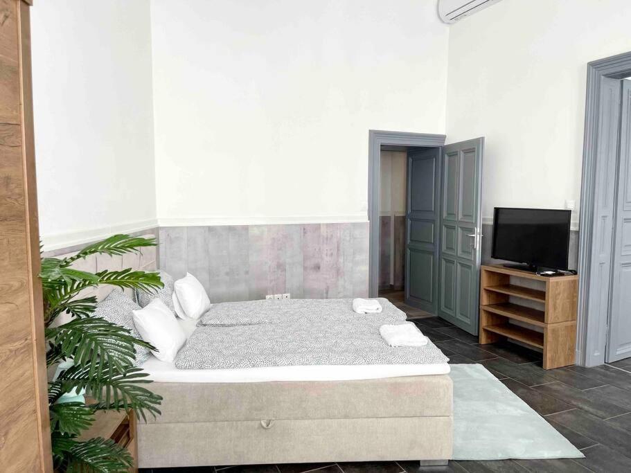 D3 Basilica Luxury Spacious Free Parking For 1 Car Boedapest Buitenkant foto